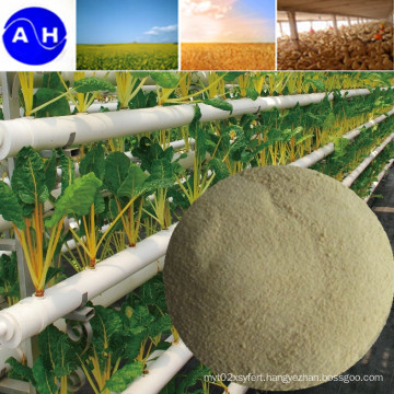 Calcium Amino Acid Chelate for Organic Fertilizer